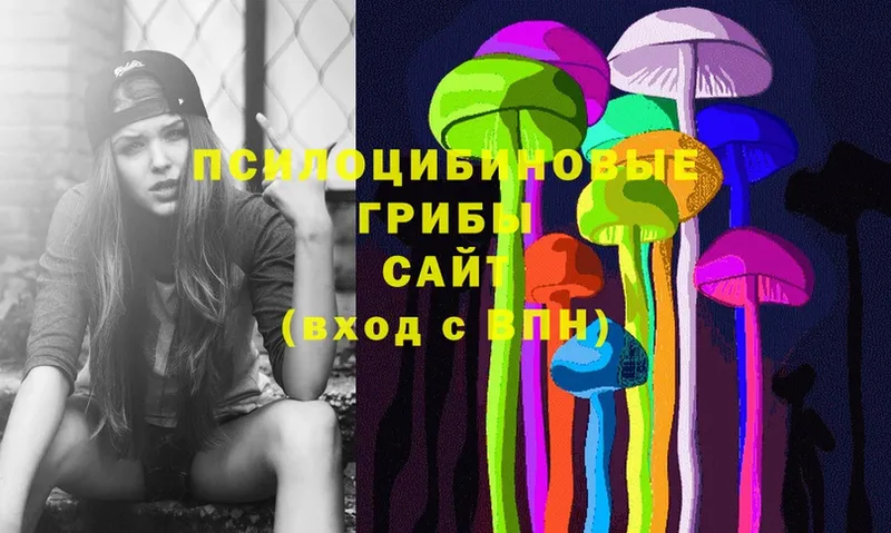 где купить   Миллерово  Псилоцибиновые грибы Cubensis 